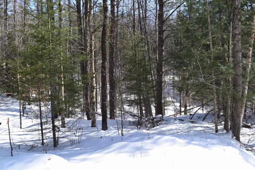 0 Perch Pond Rd unit R-15 Block 00A Lot 8, Lisbon, NH 03585 - photo 1