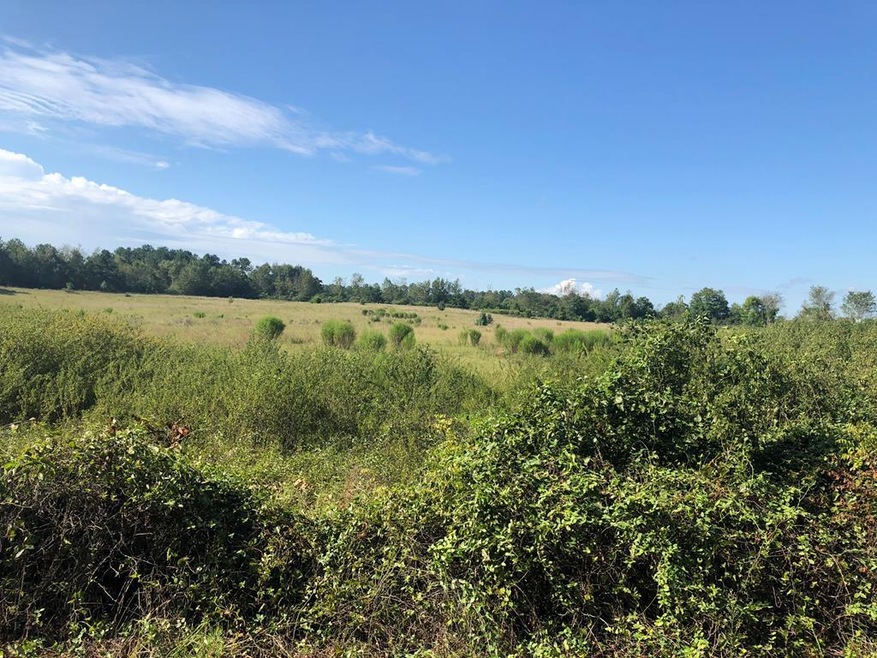 0 Gordon Hwy unit 437999, Harlem, GA 30814 - photo 1