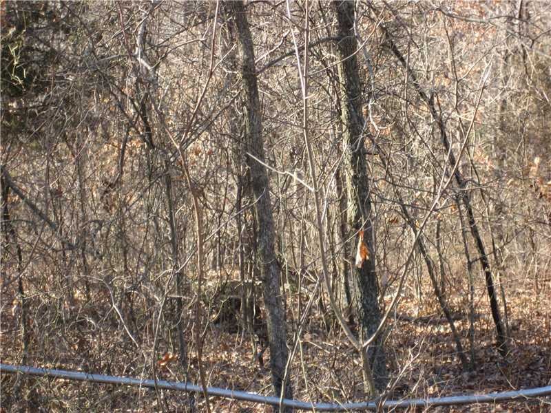 5 Ac Black Oak Rd, Fayetteville, AR 72701 - photo 1