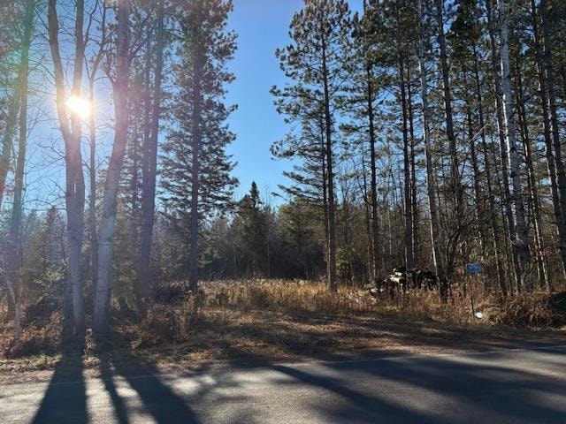 N11561 Black River Rd, Ironwood, MI 49938 - photo 1