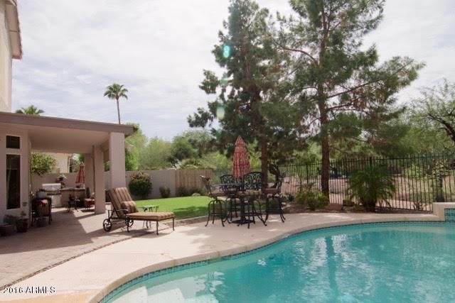 Gorgeous Backyard