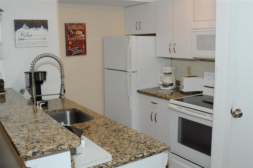 23 Black Bear Way unit 111, Waterville Valley, NH 03215 - photo 1