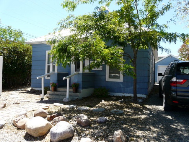 Main View