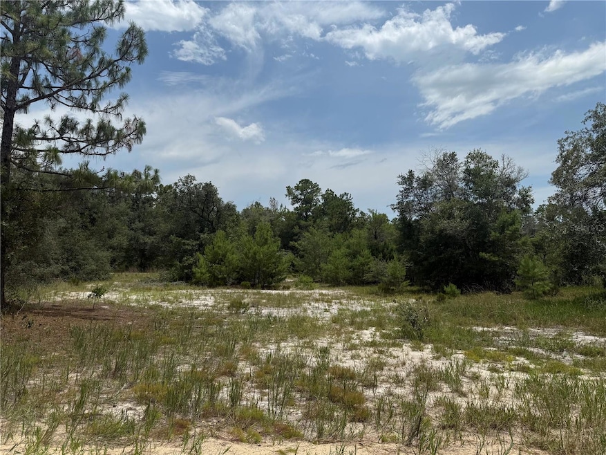 129 Viola Dr, Hawthorne, FL 32640 - photo 1