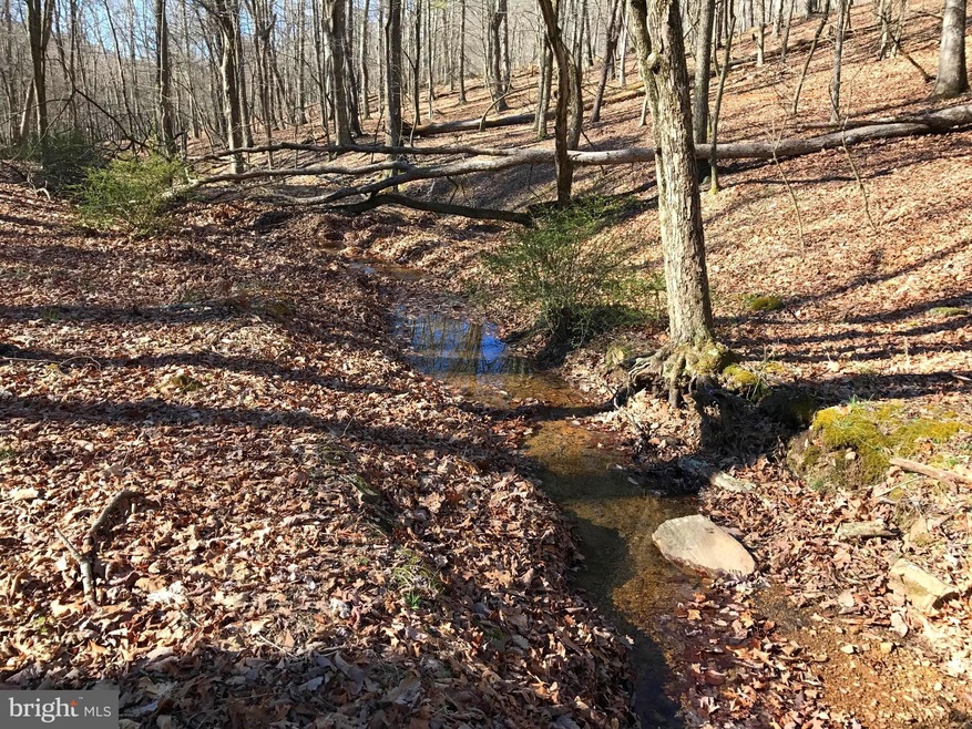 0 Beech Ln unit 1000232394, Baker, WV 26801 - photo 1