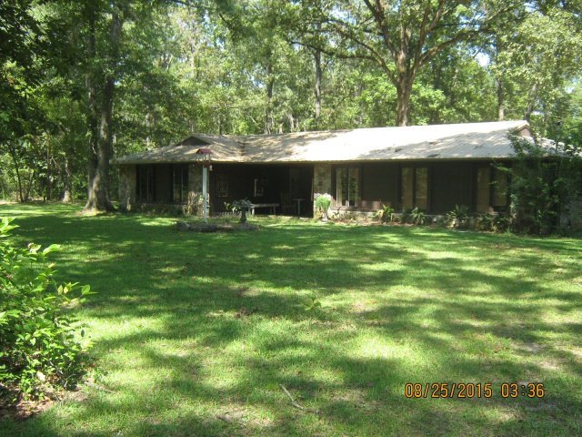 Main View