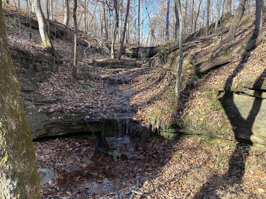 0 Pigpen Hollow Rd unit RTC3050203, Waynesboro, TN 38485 - photo 1