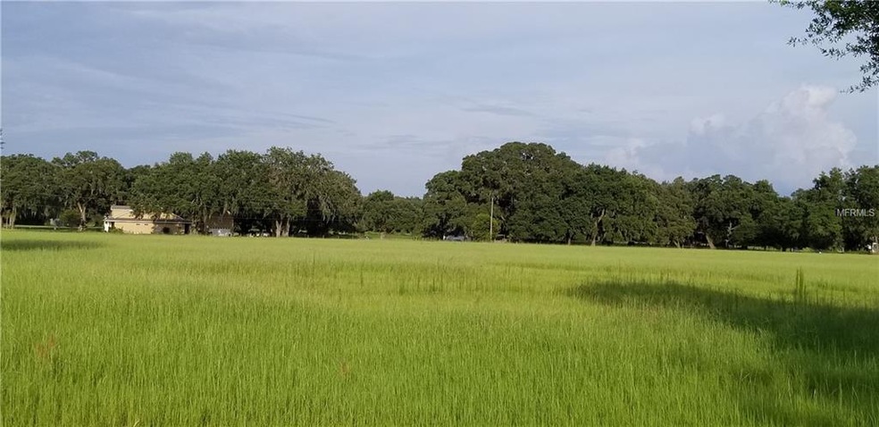 0 Sutton Oaks Ln unit T3155595, Zephyrhills, FL 33541 - photo 1