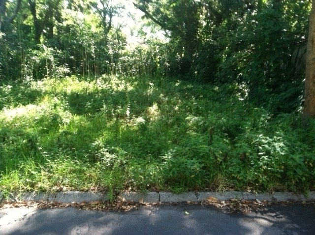 133 Oneida St, Saint Augustine, FL 32084 - photo 1