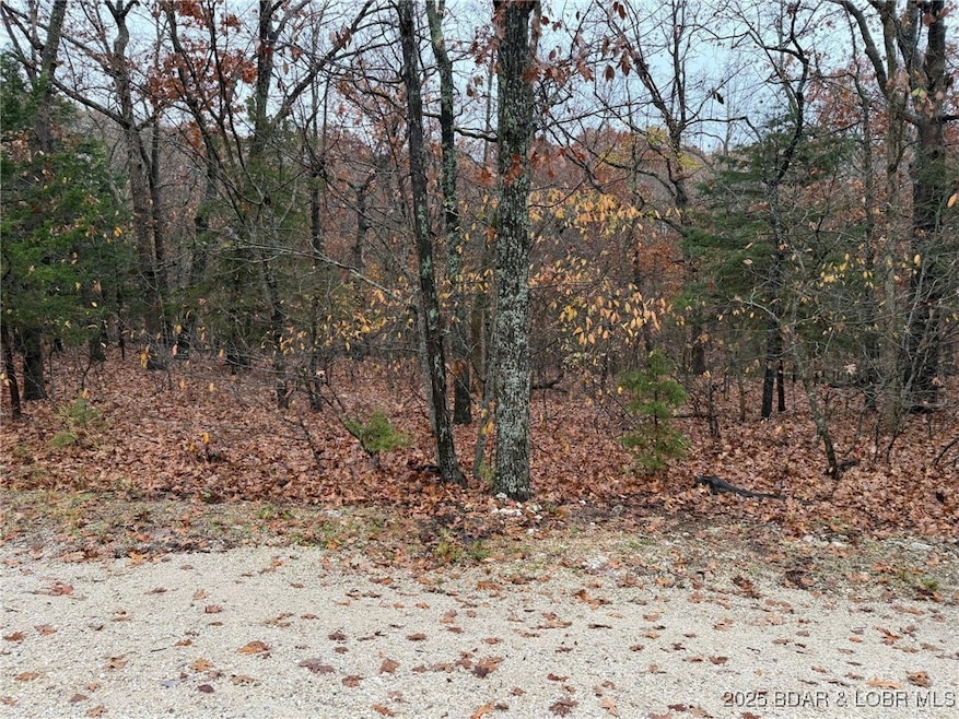 Lot 27 Glendale Ct, Village of Four Seasons, MO 65049 - photo 1