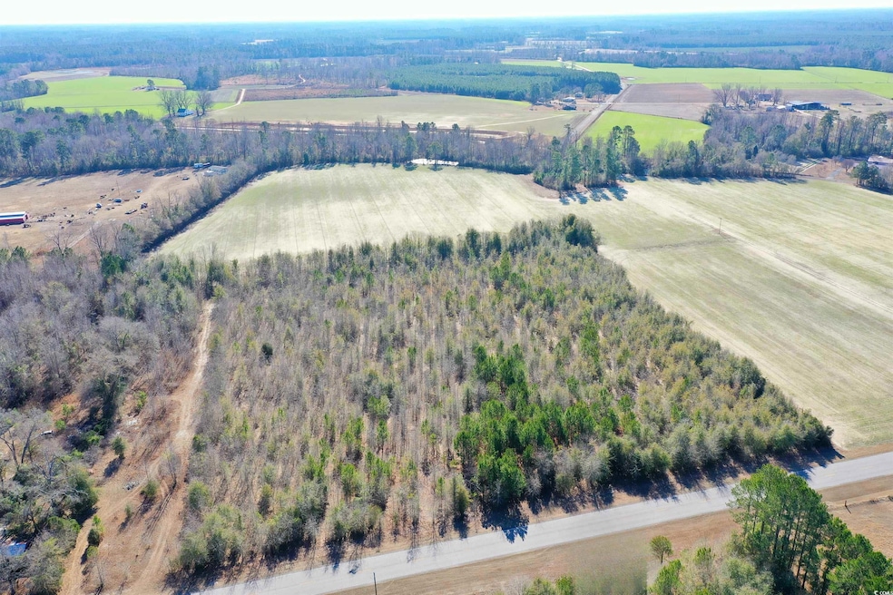 TBD Highway 76, Nichols, SC 29581 - photo 1