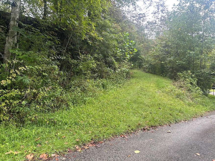 0 Little Lick Branch Rd, Inez, KY 41224 - photo 1