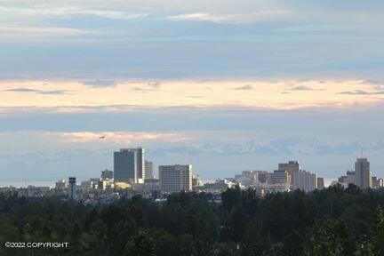 Downtown View