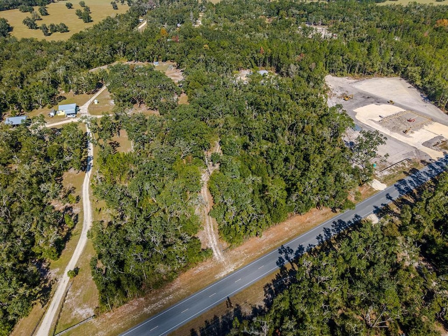 0 NE Highway 351, Old Town, FL 32680 - photo 1