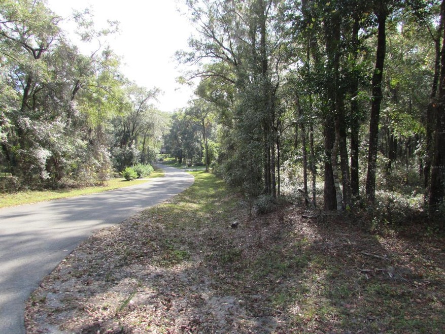 00 SW 187 Ave unit 26, Dunnellon, FL 34432 - photo 1