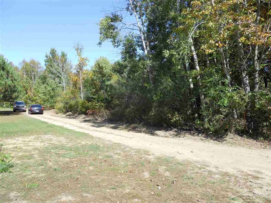 0 Rupprecht Rd unit G31304964, Vassar, MI 48768 - photo 1