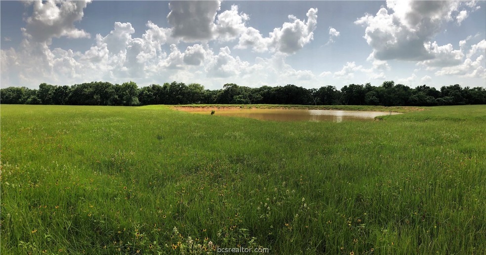 Pond on 17 Ac