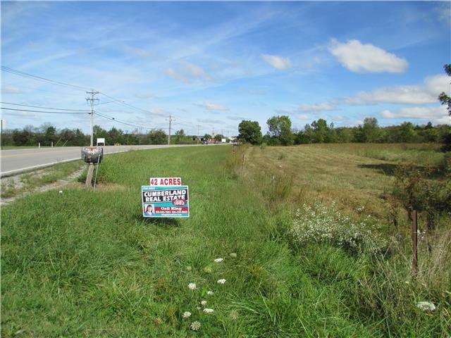 540 Maddox Simpson Pkwy, Lebanon, TN 37090 - photo 1