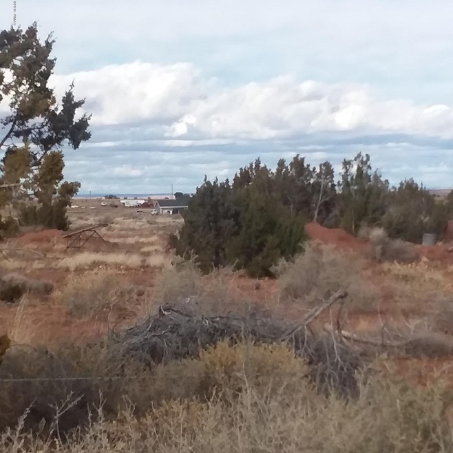 Lot 23.mtview.3