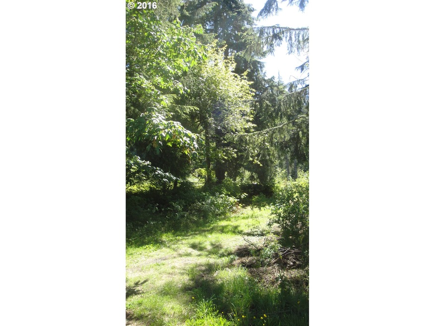 0 Miami Foley Rd unit 16504420, Nehalem, OR 97131 - photo 1