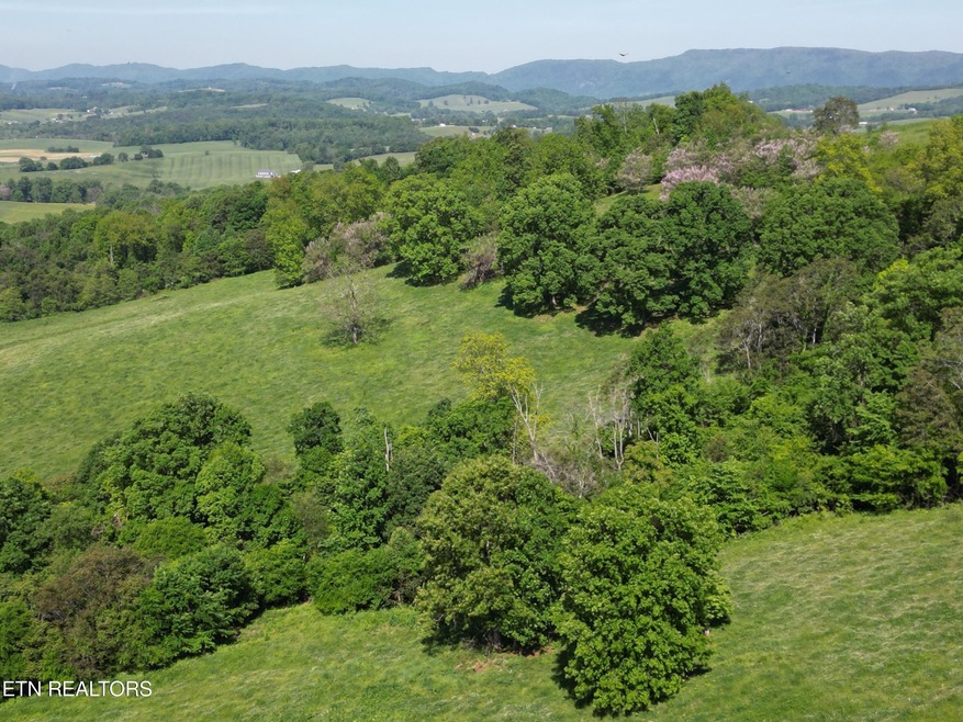 10 Buffalo Springs Rd, Rutledge, TN 37861 - photo 1