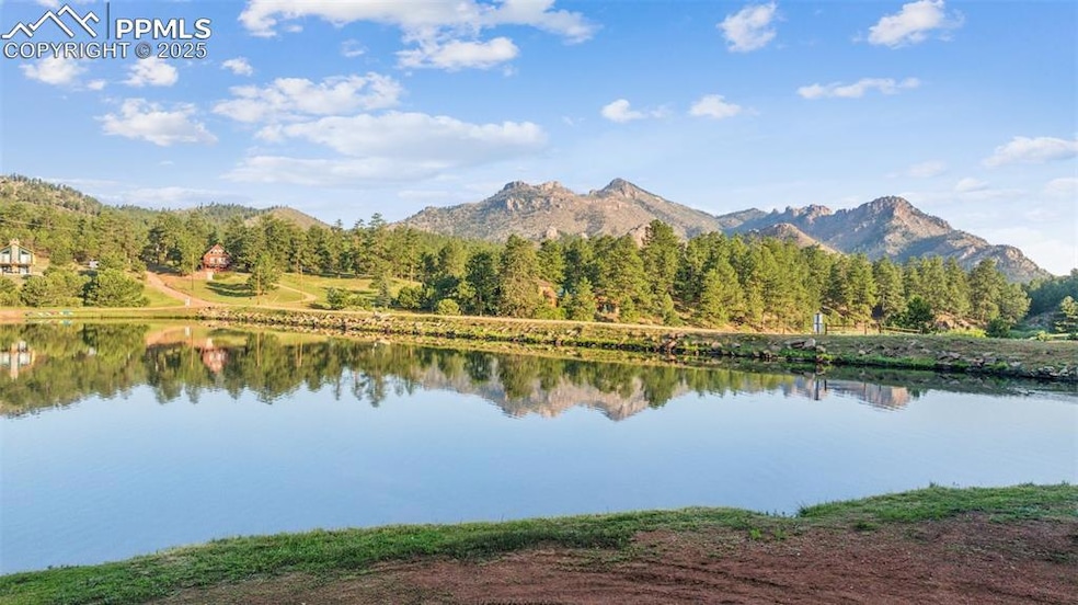 Water view with a forest and a mountainous background