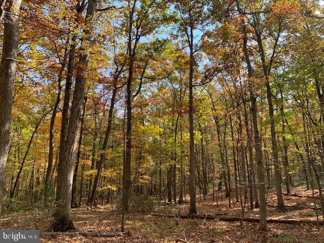 0 Barb unit VASH120806, Basye, VA 22844 - photo 1
