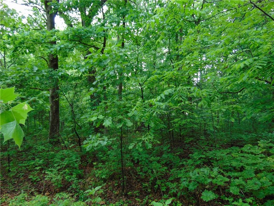 0 Aaron Ln unit 1207168, Bella Vista, AR 72715 - photo 1