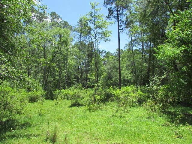 000 Dunn Rd, Hartsfield, GA 31756 - photo 1