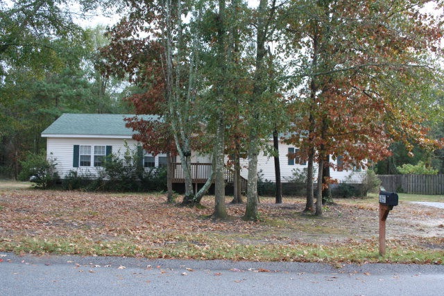 Main View