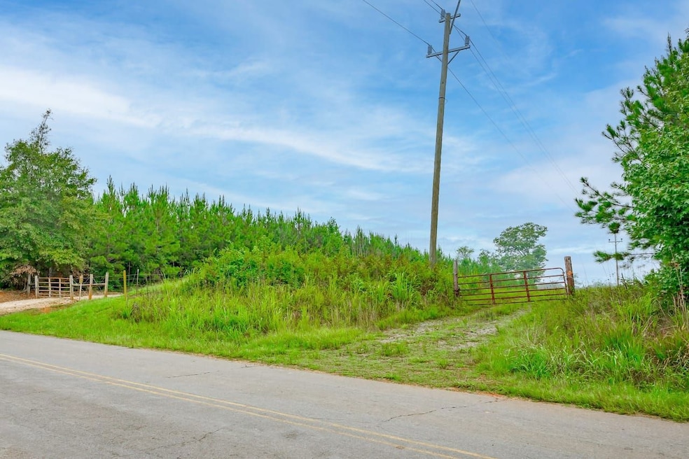 Humpback Bridge Rd, Chester, SC 29712 - photo 1