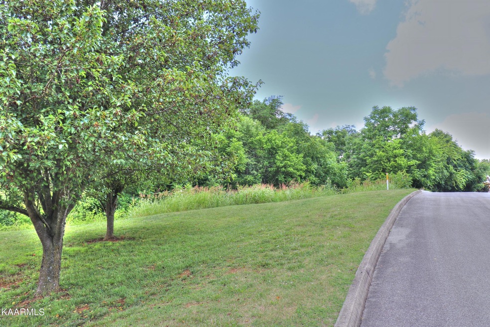 217' of road frontage