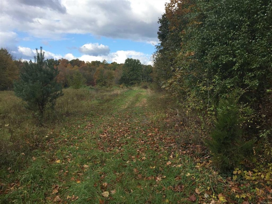 1 Norton Rd, Red Hook, NY 12571 - photo 1