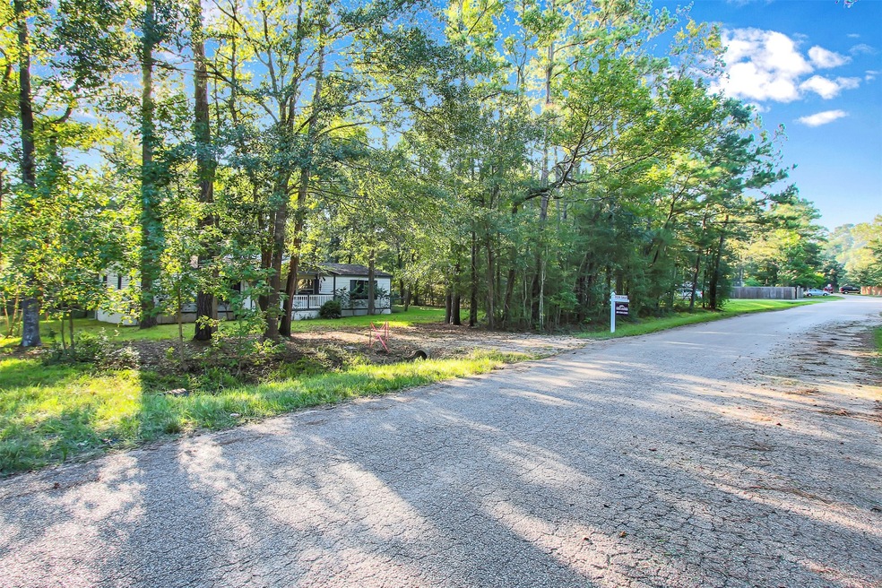 29903 Denton St, Magnolia, TX 77354 - photo 1