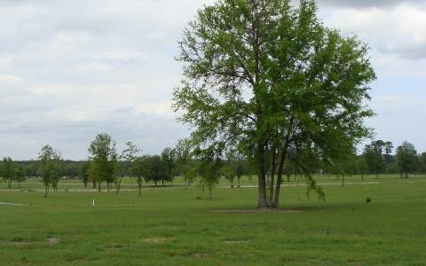 LOT25 Mandiba Dr, Lake City, FL 32024 - photo 1