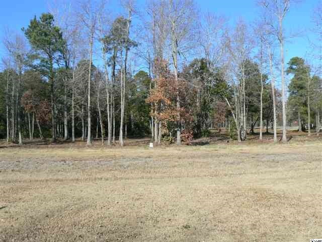 Lot 3 Blue Moon Dr, Loris, SC 29569 - photo 1