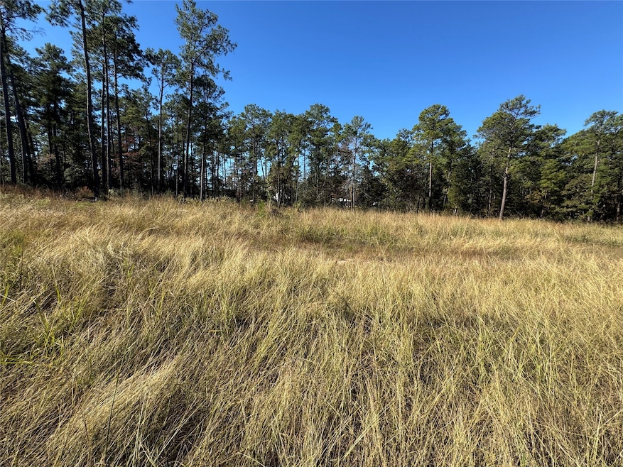 064 Private Road 6026 Tract 1-64, Brookeland, TX 75931 - photo 1
