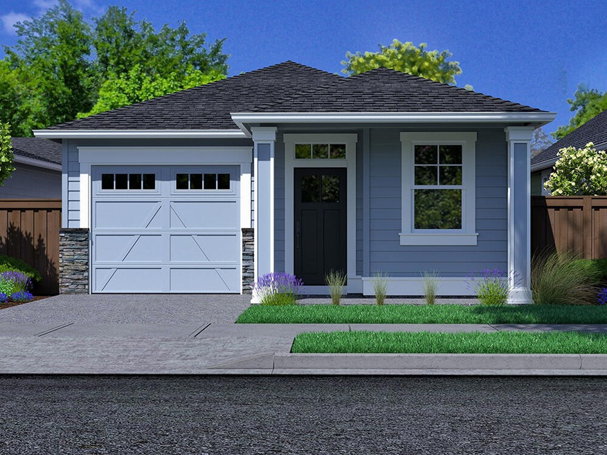 Orchard E Rendering