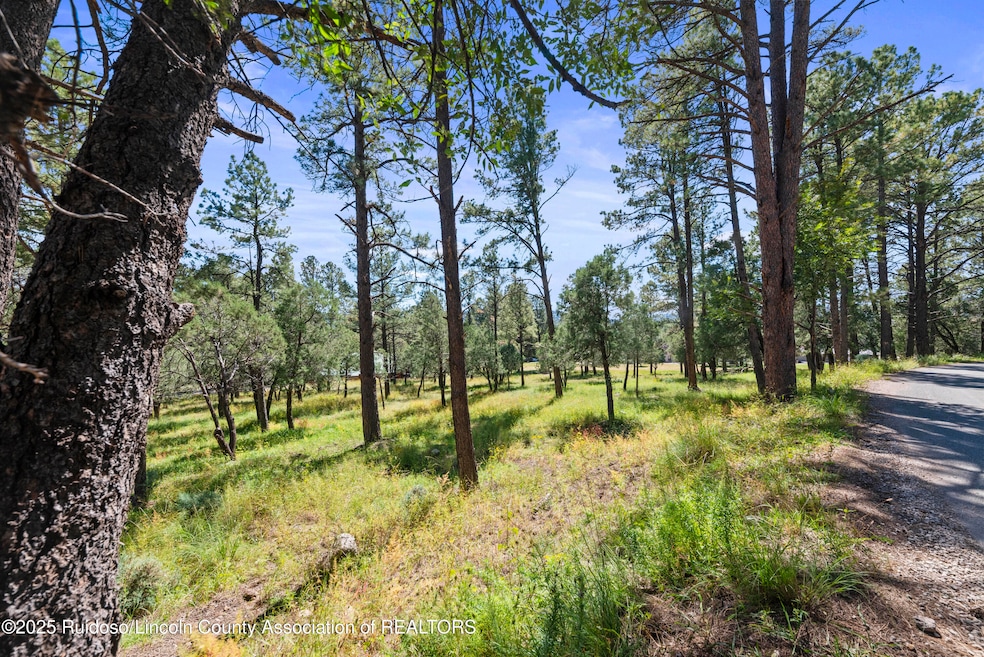 112 Course View Dr, Ruidoso, NM 88345 - photo 1