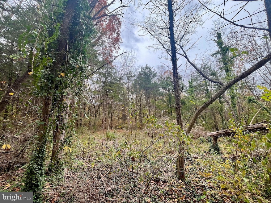 0 Greenway Ln unit VAPA2005538, Luray, VA 22835 - photo 1