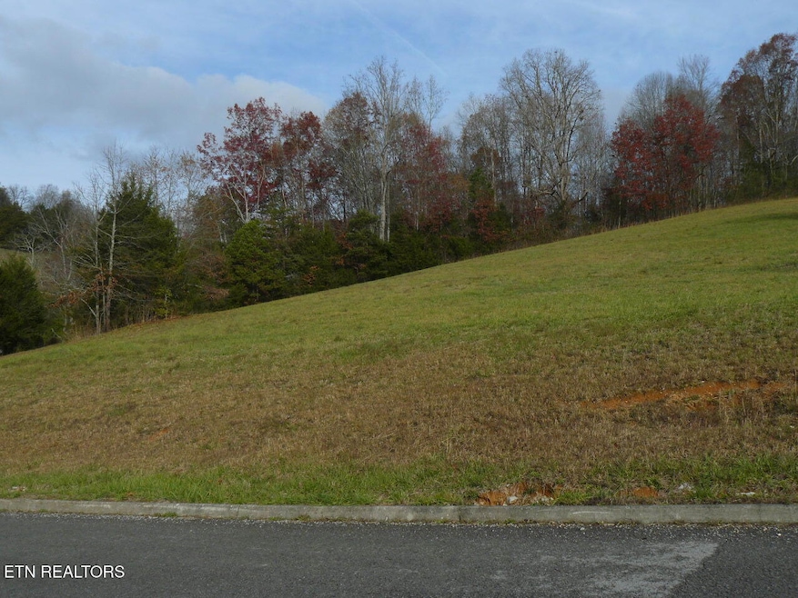 117 Henley St, Tazewell, TN 37879 - photo 1