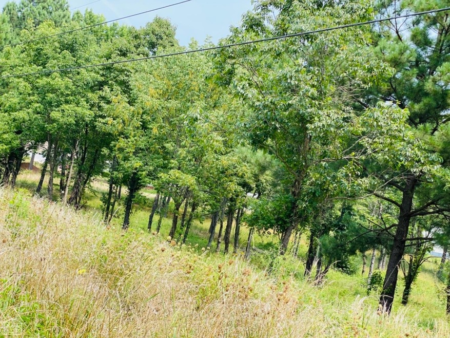 719 Persimmon Ridge Dr, Jonesboro, AR 72401 - photo 1