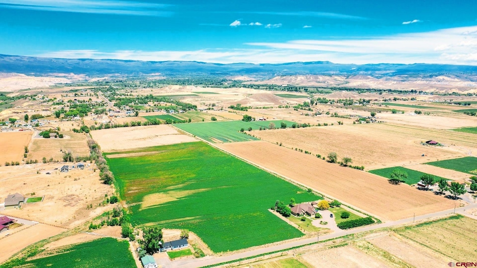 TBD Iris Rd, Austin, CO 81410 - photo 1