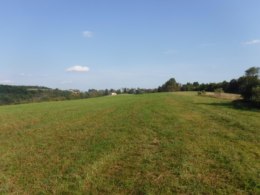 348 Mount Zion Hill Rd, Penn Township, PA 17737 - photo 1