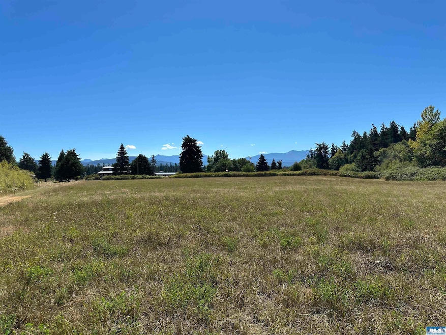 NKA Taylor Ranch Rd, Sequim, WA 98382 - photo 1