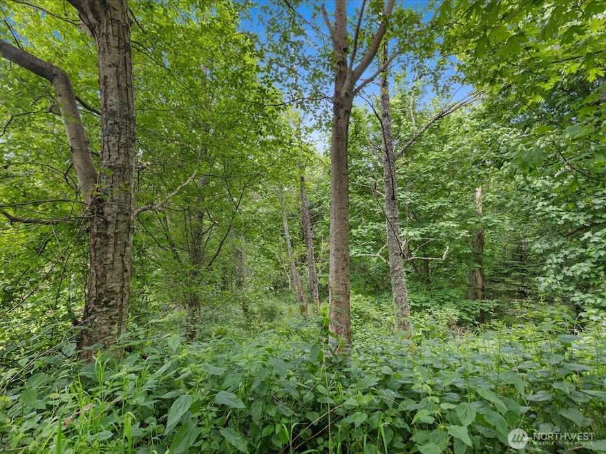 4061 S Eagle Ridge Dr, Camano, WA 98282 - photo 1