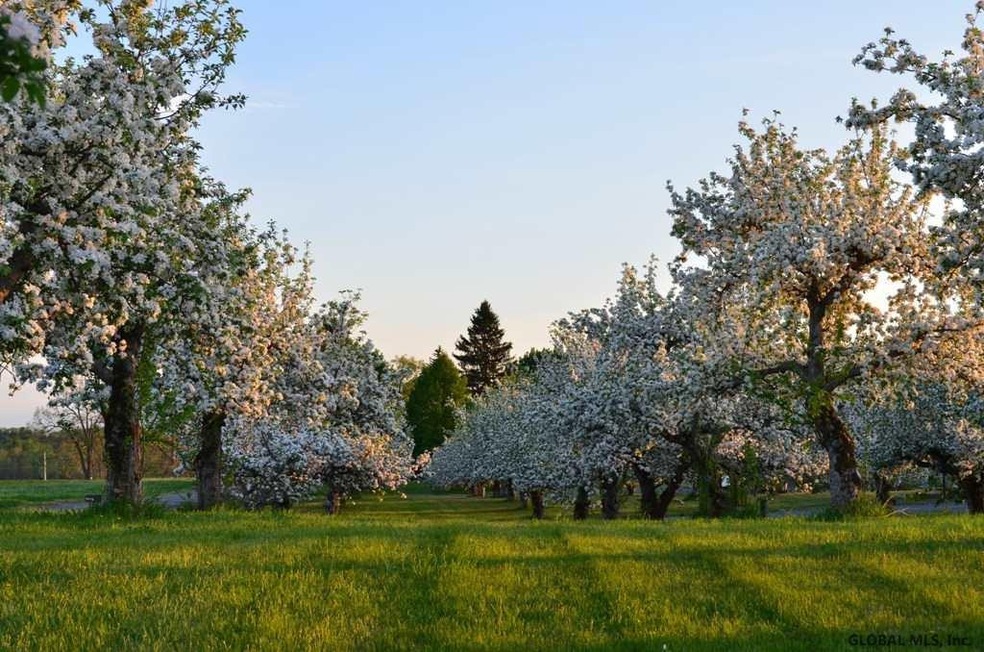 1339 Brookview Station Rd, Castleton On Hudson, NY 12033 - photo 1