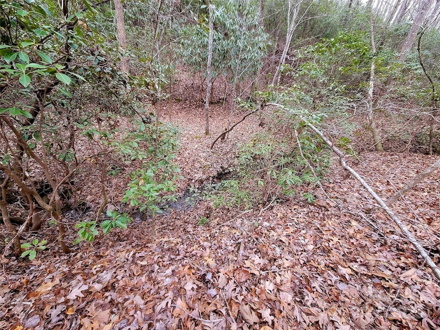 000 Birddog Blvd unit 328, Lake Lure, NC 28746 - photo 1