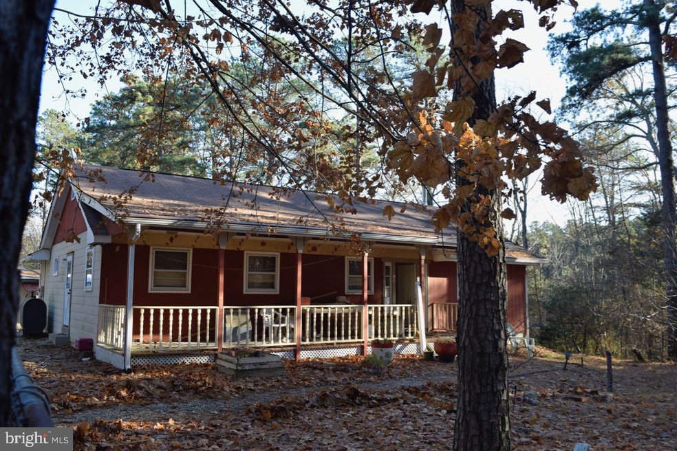 259 Otis Bog Rd, Little Egg Harbor Township, NJ 08087 - photo 1