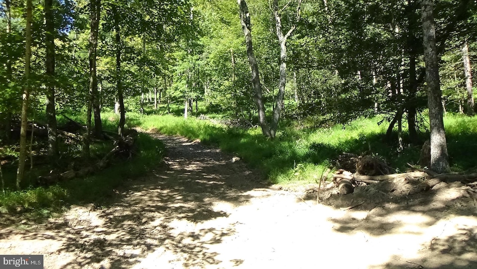 0 Veterans Way unit PAPY2008088, Elliottsburg, PA 17024 - photo 1